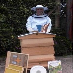 آموزش پرورش زنبور عسل برای تازه کاران